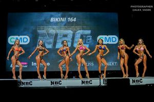 BIKINI 164